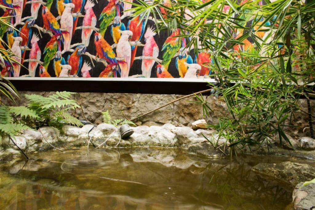 Suites Casa Lozada โบโกตา ภายนอก รูปภาพ